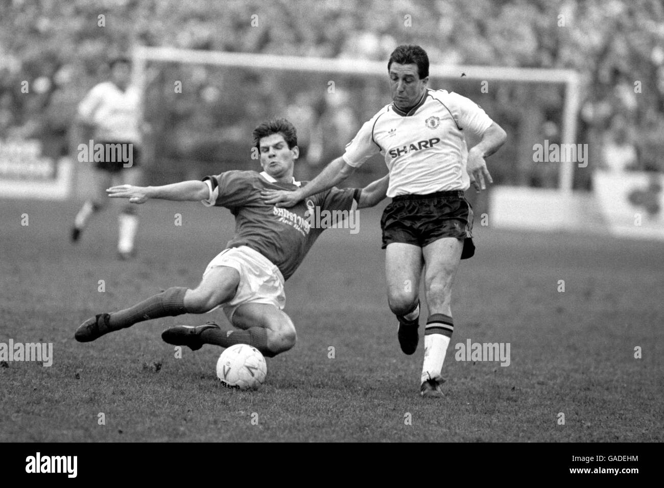Ralph milne hires stock photography and images  Alamy