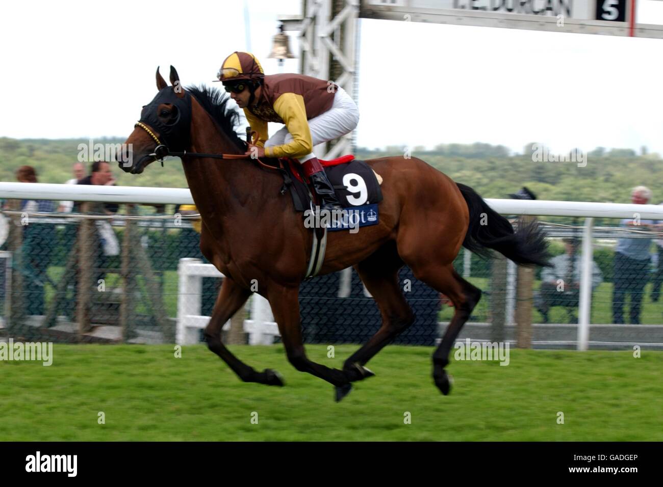 Torcello ridden by Darryl Holland goes to post in The Wolferton Rated Stakes Stock Photo