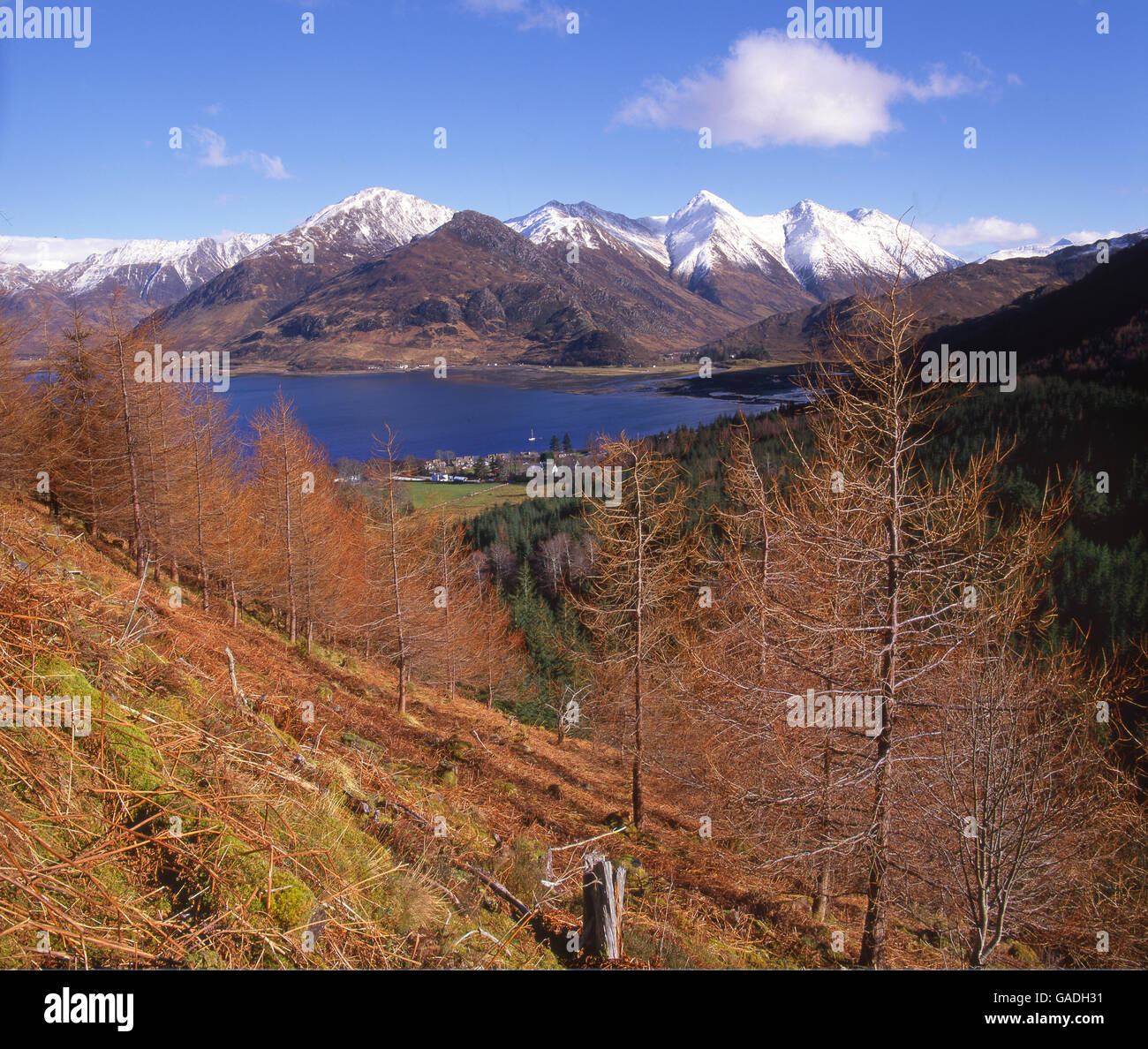 Autumn view from Mam Ratagan towards the five sisters of Kintail, loch Duich, N/W Highlands. Stock Photo