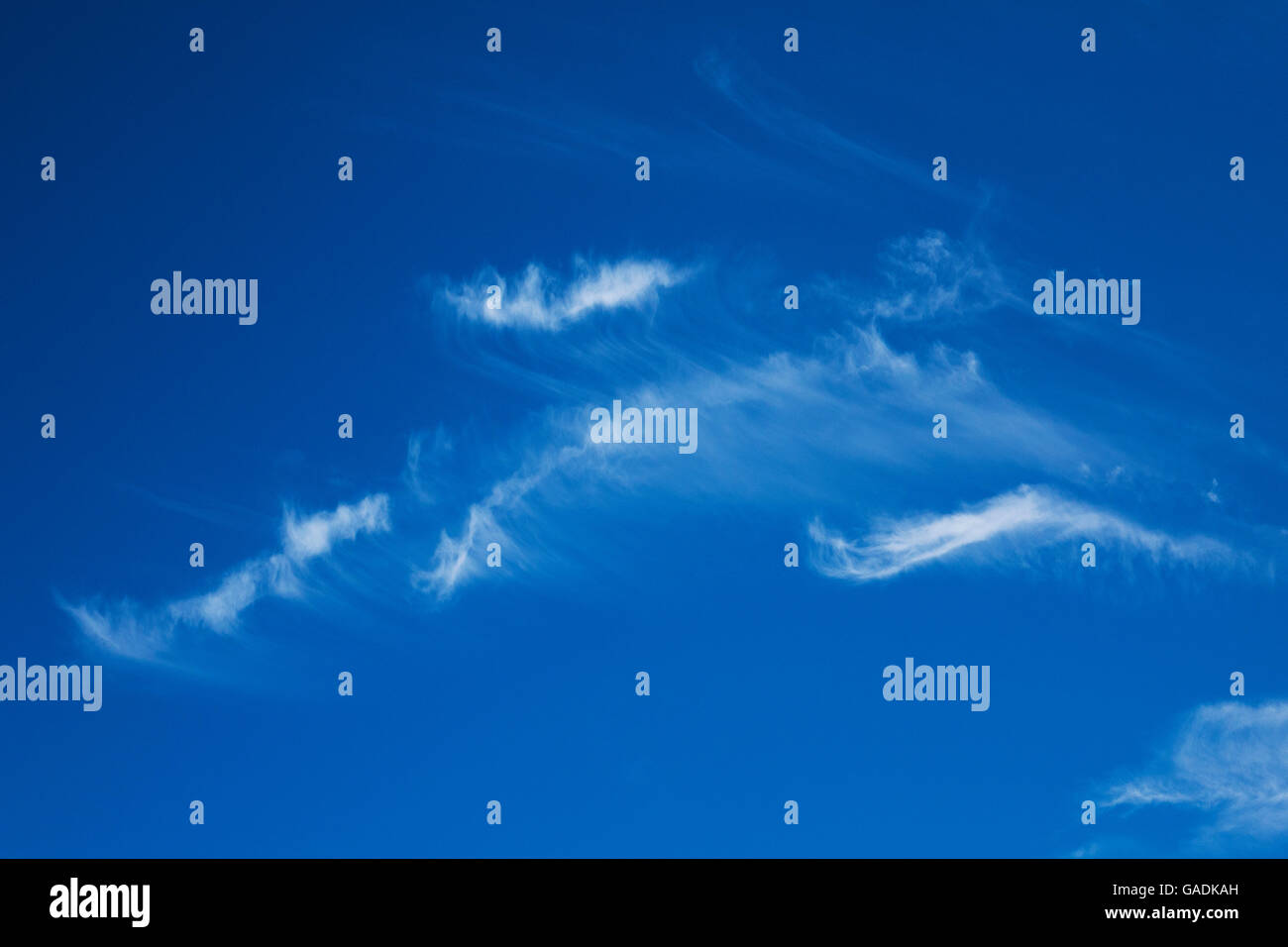 Cirrus clouds in 'Mares tails' formation Stock Photo