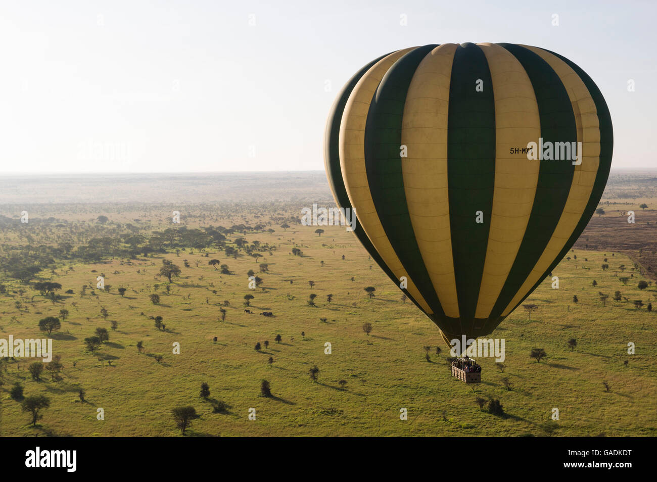 Balloon safari, Serengeti National Park, Tanzania Stock Photo