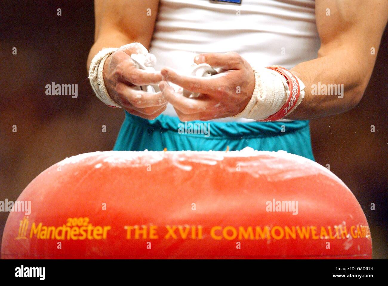 Manchester 2002 Commonwealth Games Men's Gymnastics. South Africs's