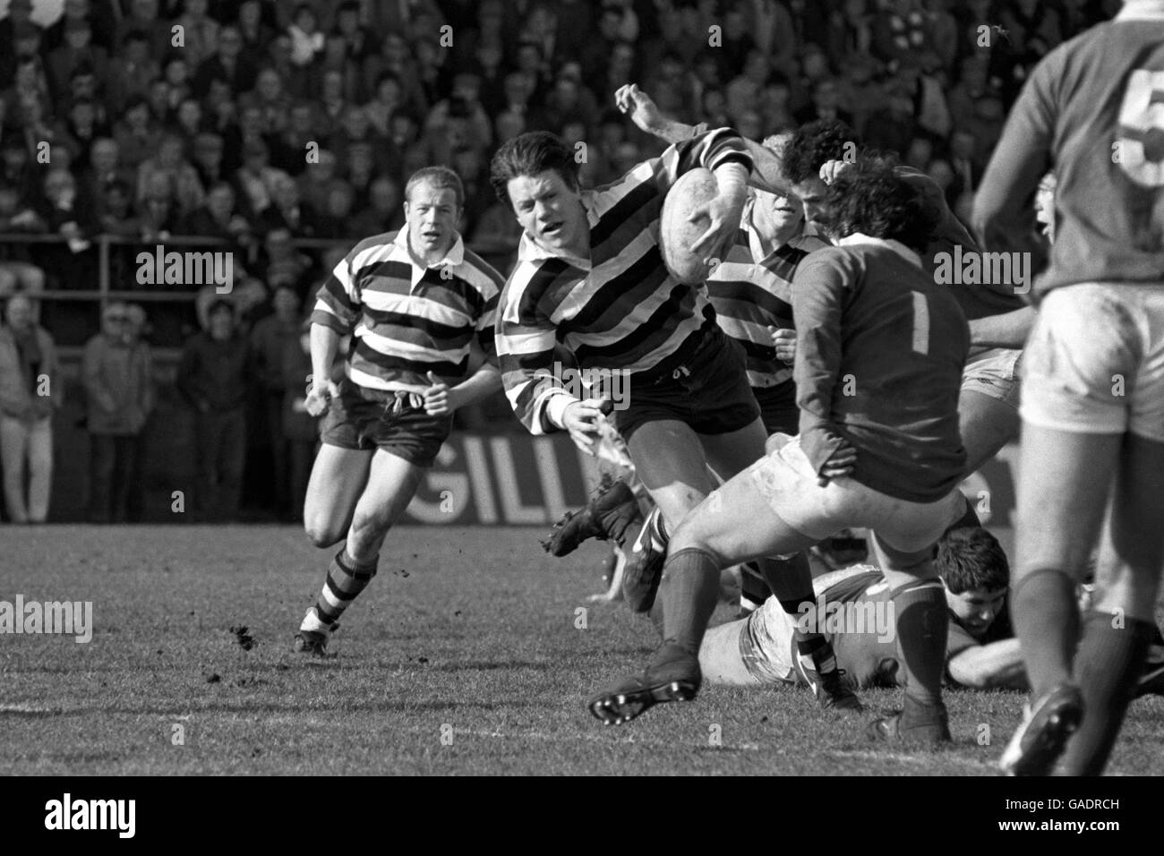 Simon Halliday, the Bath centre, side steps the Welsh defence for a quick burst to the line. Stock Photo