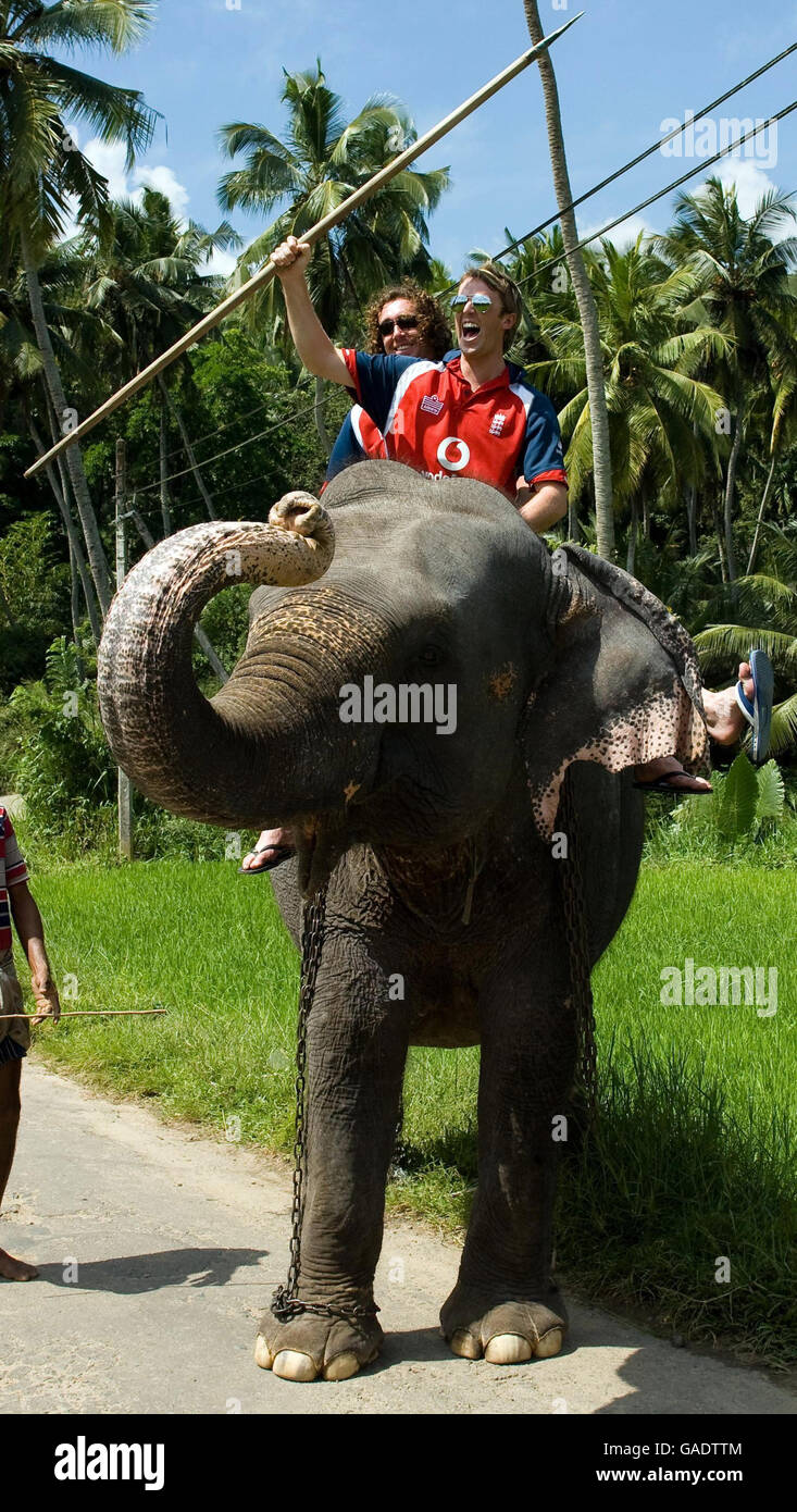 Cricket - England Visit Pinawella Village - Kandy. England's Graeme Swann and Ryan Sidebottom ride an elephant during a visit to Pinawella village near Kandy, Sri Lanka. Stock Photo