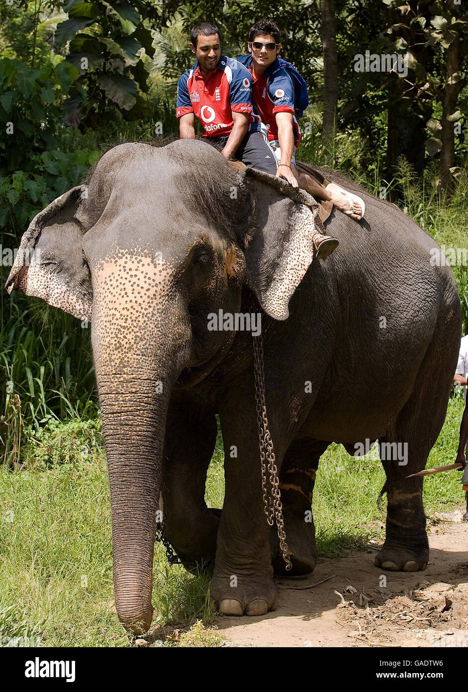 England's Ravi Bopara and Alastair Cook ride an elephant during a visit to Pinawella village near Kandy, Sri Lanka. Stock Photo