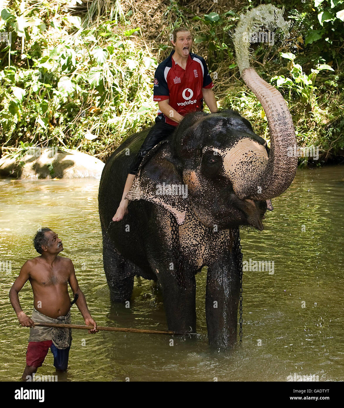 England's Matthew Hoggard bathes with an elephant during a visit to Pinawella village near Kandy, Sri Lanka. Stock Photo