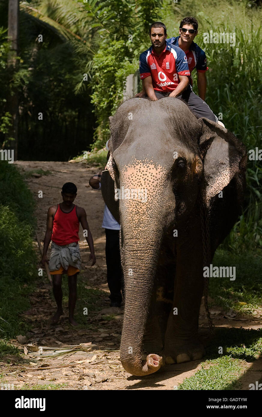 England's Ravi Bopara and Alastair Cook an elephant during a visit to Pinawella village near Kandy, Sri Lanka. Stock Photo