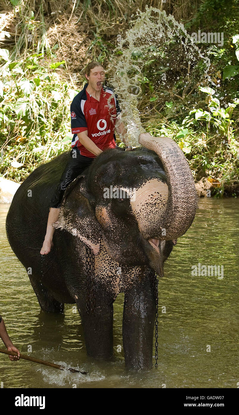 Cricket - England Visit Pinawella Village - Kandy. England's Matthew Hoggard baths with an elephant during a visit to Pinawella village near Kandy, Sri Lanka. Stock Photo