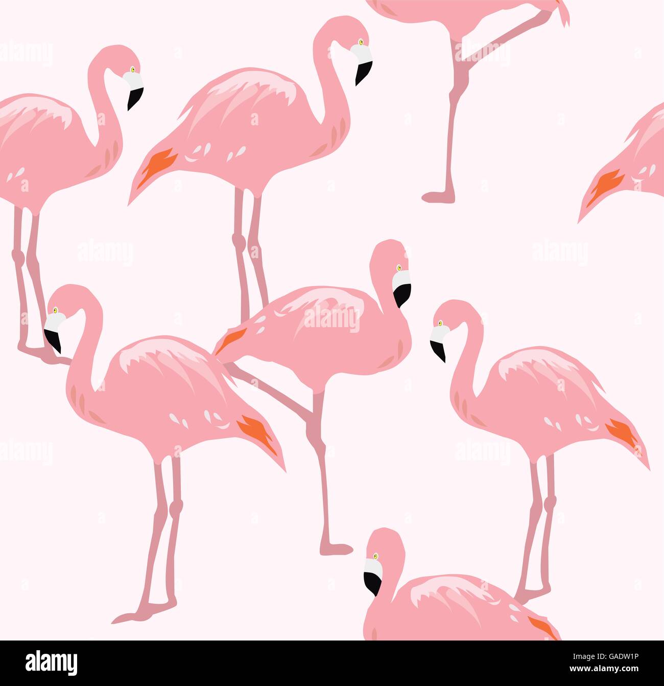 vector illustration of flamingos silhouettes seamless background Stock ...