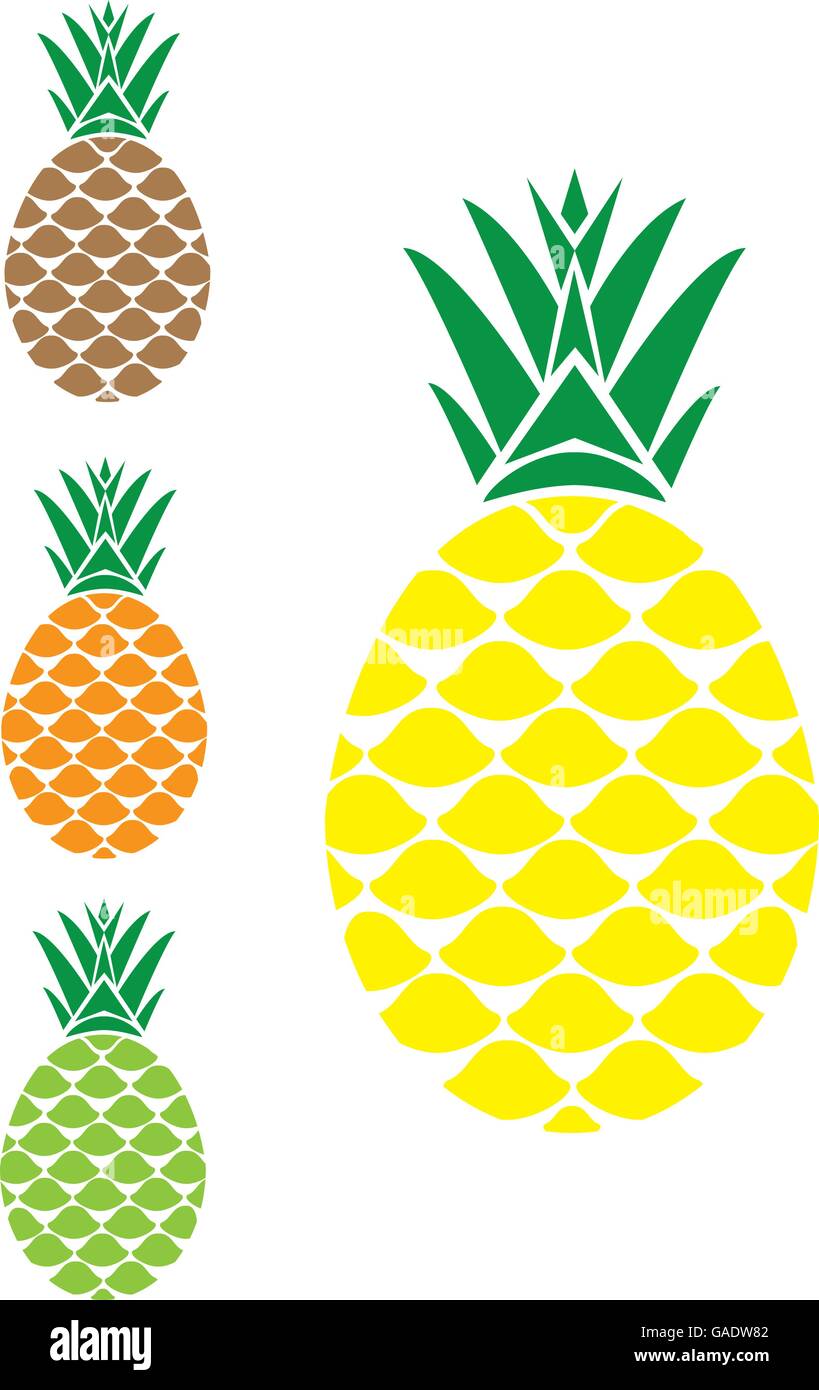vector illustration of a pineapple Stock Vector Image & Art - Alamy