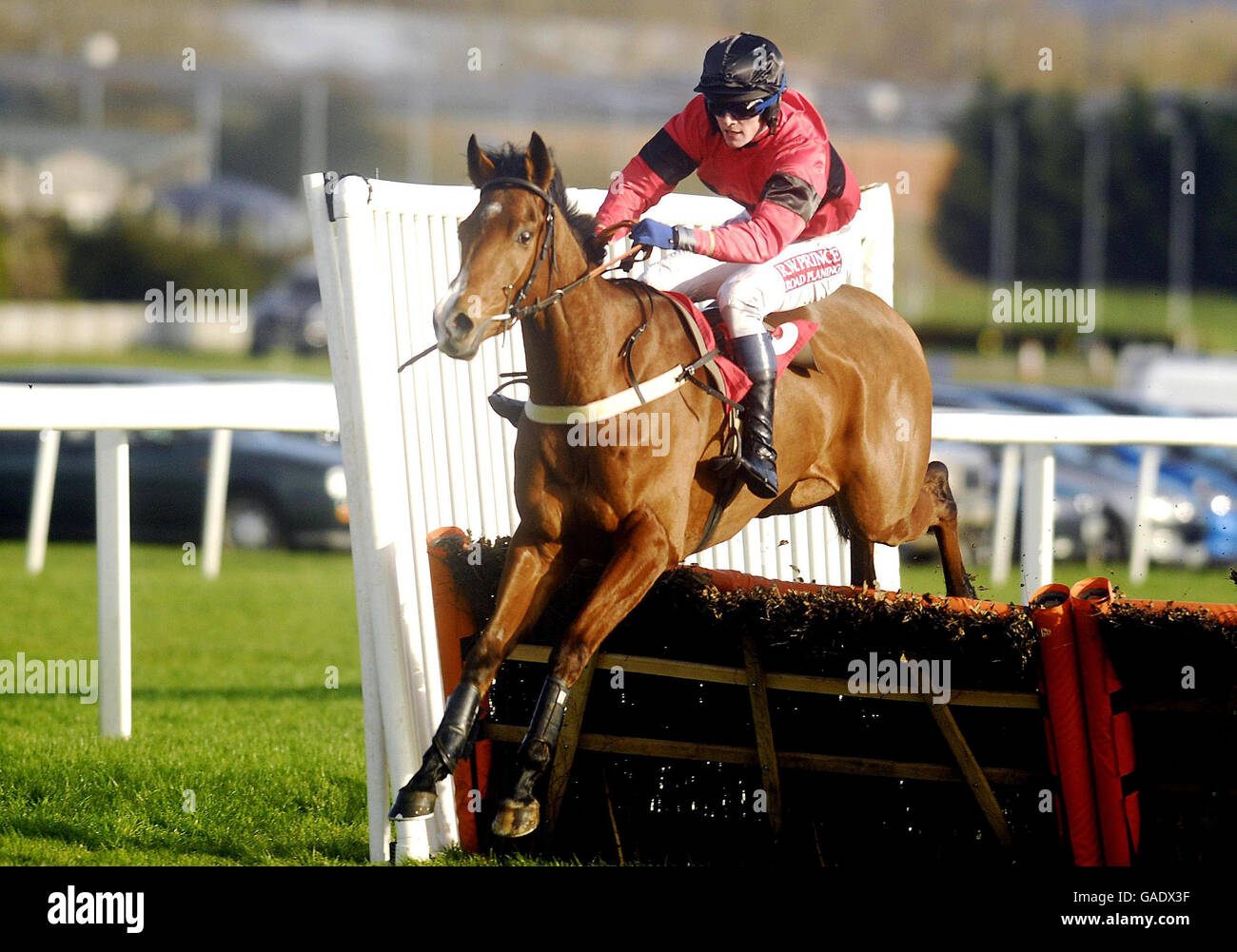 Horse Racing - Hennessy Cognac Gold Cup Day - Newbury Racecourse. Paddy Merrigan riding Helens Vision wins The Greyhounds Make Great Pets Novices Hurdle at Newbury Racecourse. Stock Photo