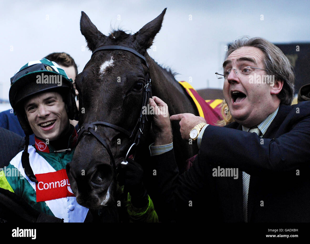 Horse Racing - Hennessy Cognac Gold Cup Day - Newbury Racecourse Stock Photo