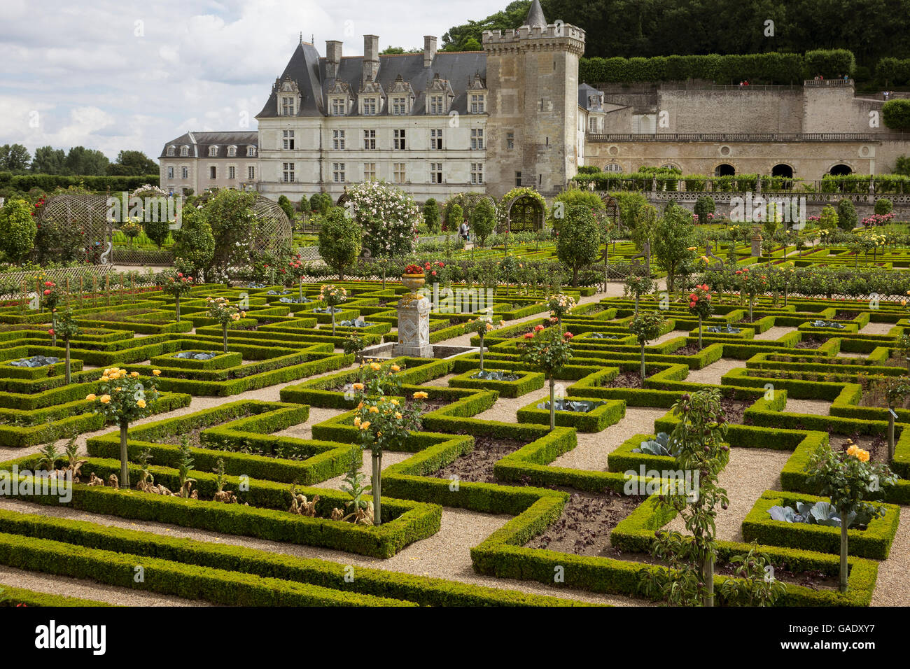 France, Indre-et-Loire, Villandry, Chateau & gardens Stock Photo