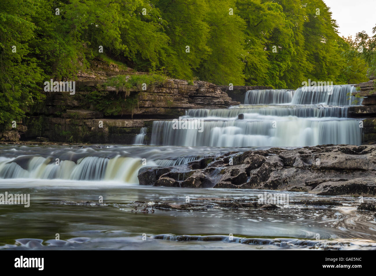 view of waterfall Aysgarth lower falls yorkshire Stock Photo - Alamy