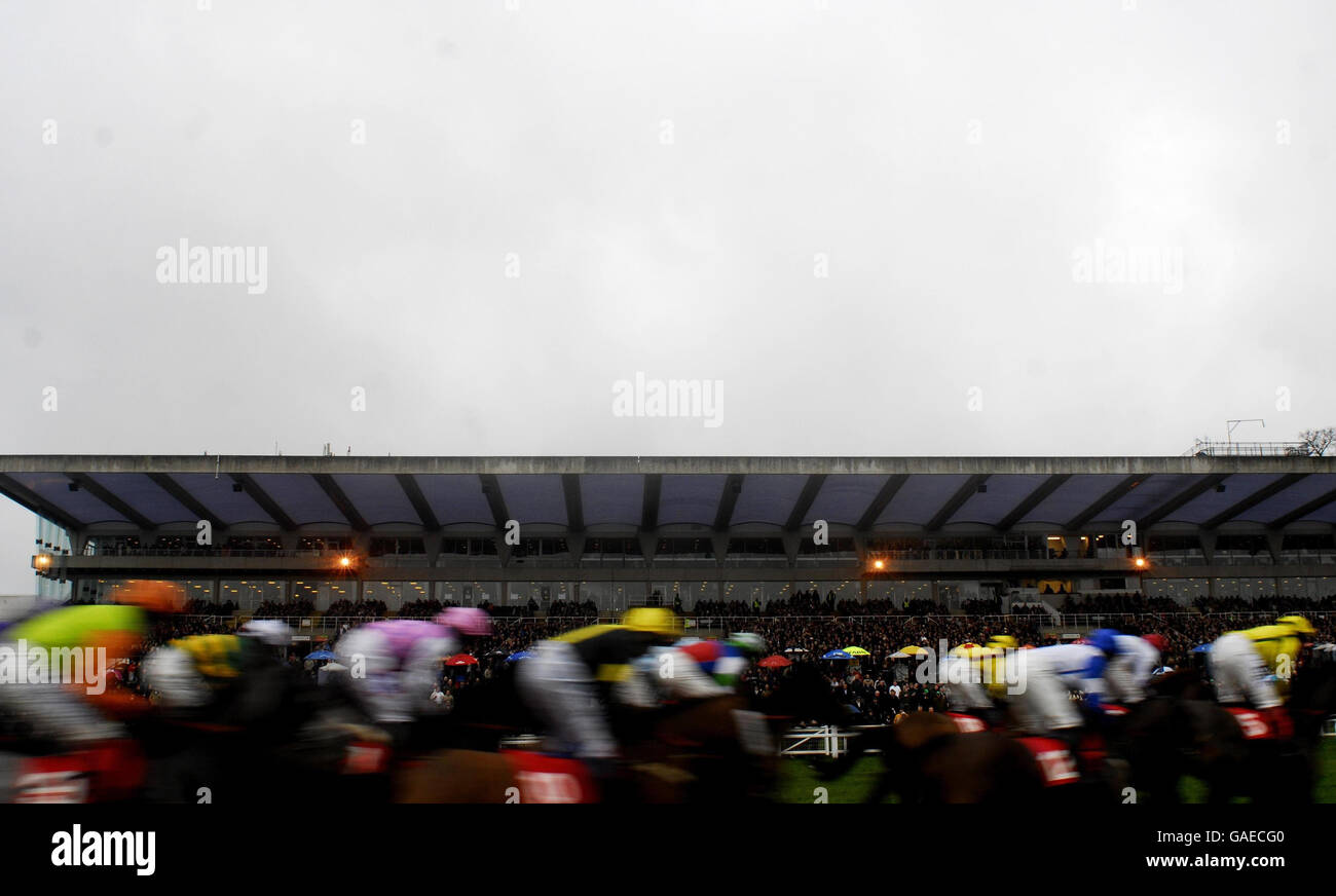 Runners pass the grandstand in The paddypowercasino.com hurdle at Sandown Racecourse. Stock Photo