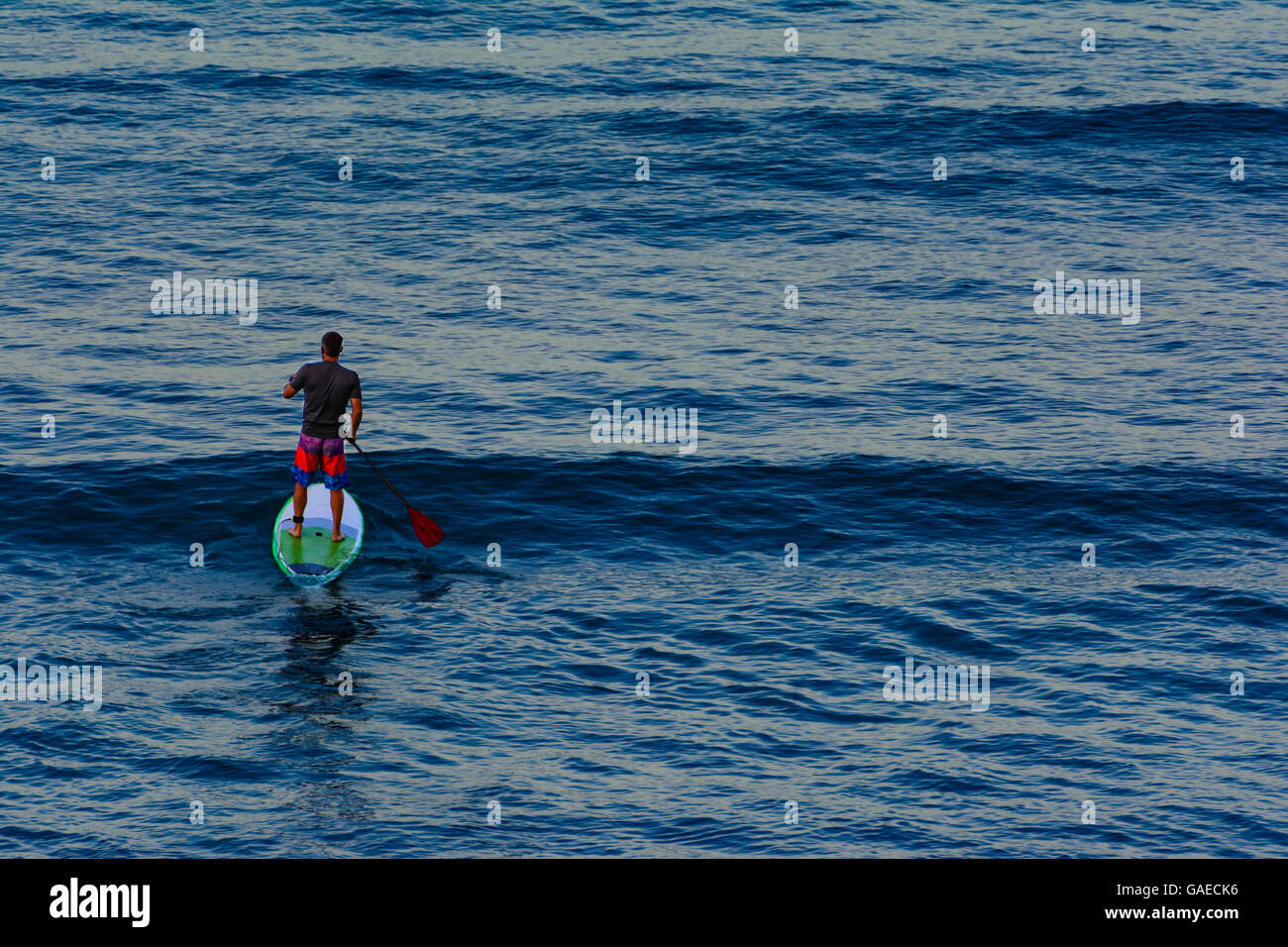 Lone Paddle boarder on the water at dawn. Calm, blue water with rolling waves Stock Photo
