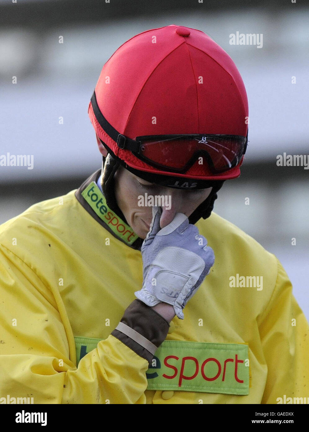 Horse racing november handicap day doncaster racecourse hires stock