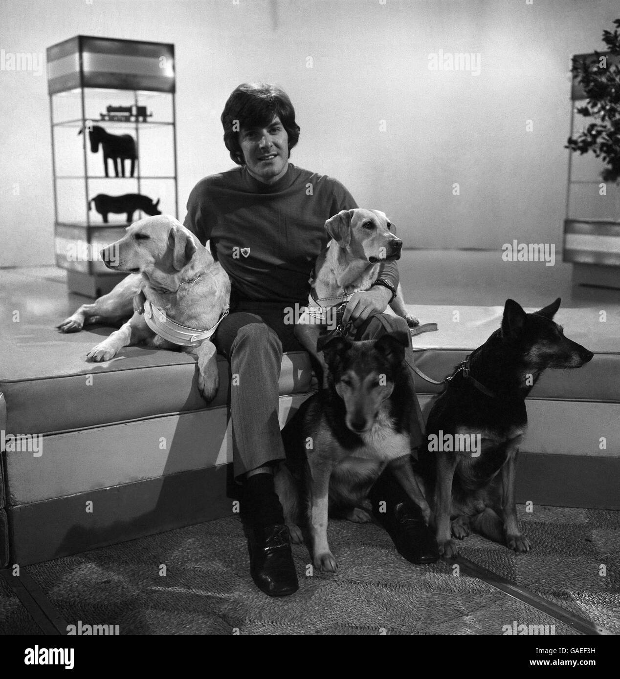 Television Programmes - Blue Peter - Peter Purves Stock Photo