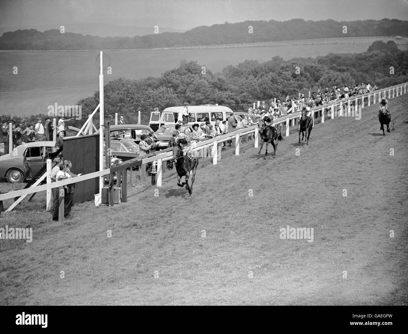 Horse Racing - The Sussex Stakes - Goodwood Stock Photo