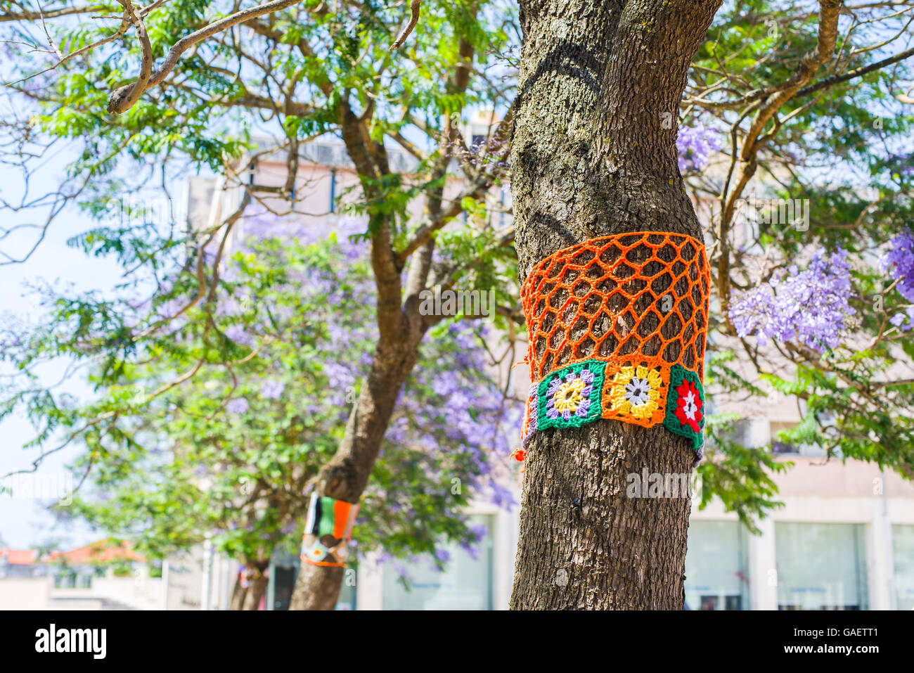 Yarn bombing. A tree dressed with knitted colorful wool. European park. Stock Photo
