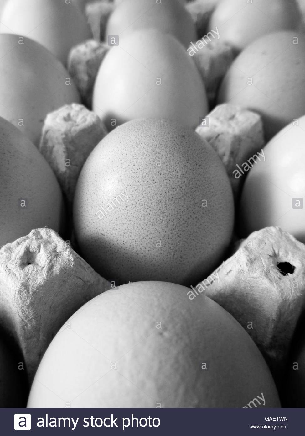 Easter Egg Black and White Stock Photos & Images Alamy