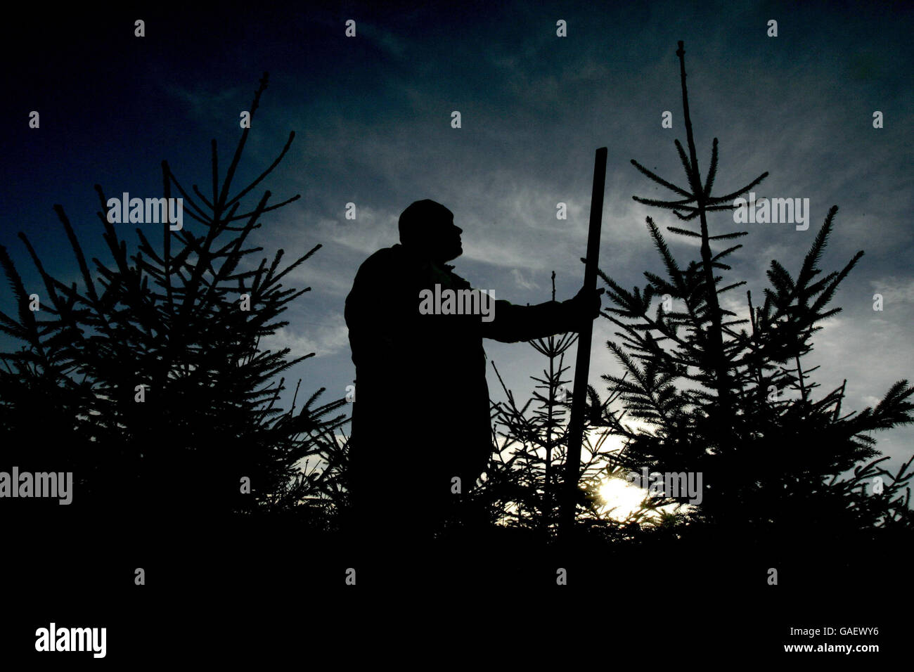 Standalone photo. Forrester Davie MacLure, from the Blair Drummond