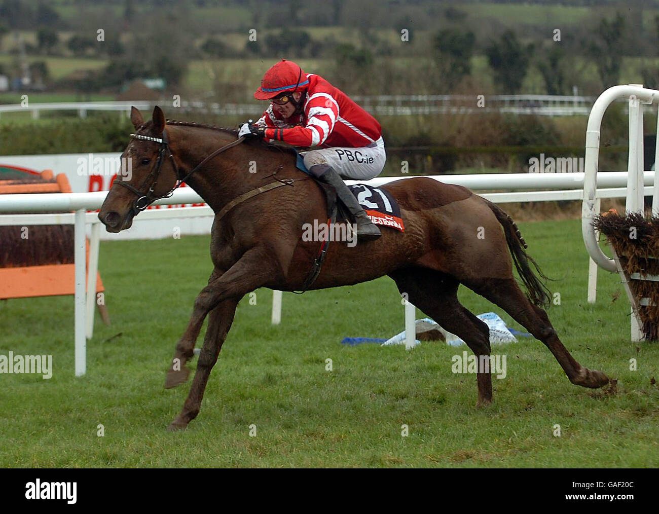 Horse Racing Punchestown Racecourse Stock Photo Alamy