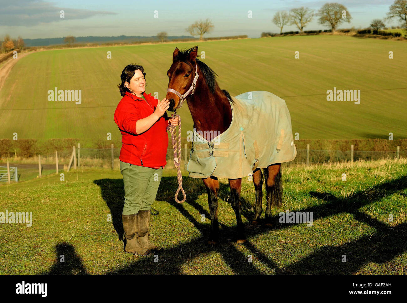 Aromatherapy helps horse Stock Photo Alamy