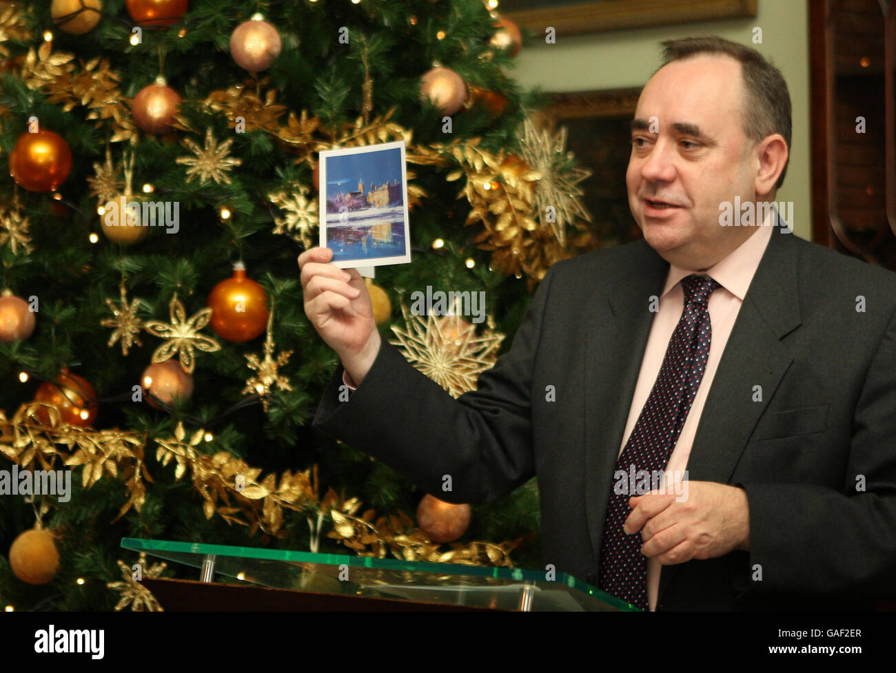Scotland's First Minister Alex Salmond at the launch of his official Christmas card at Bute House, Edinburgh. Stock Photo