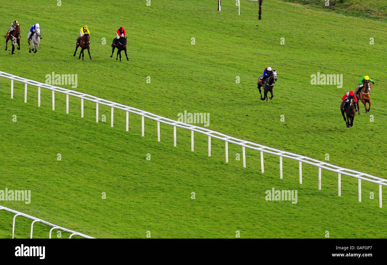 Horse Racing - Newbury Racecourse. Celestial Halo and Ruby Walsh split the field going to the last to win The Bathwick Tyres Novices' Hurdle at Newbury Racecourse. Stock Photo