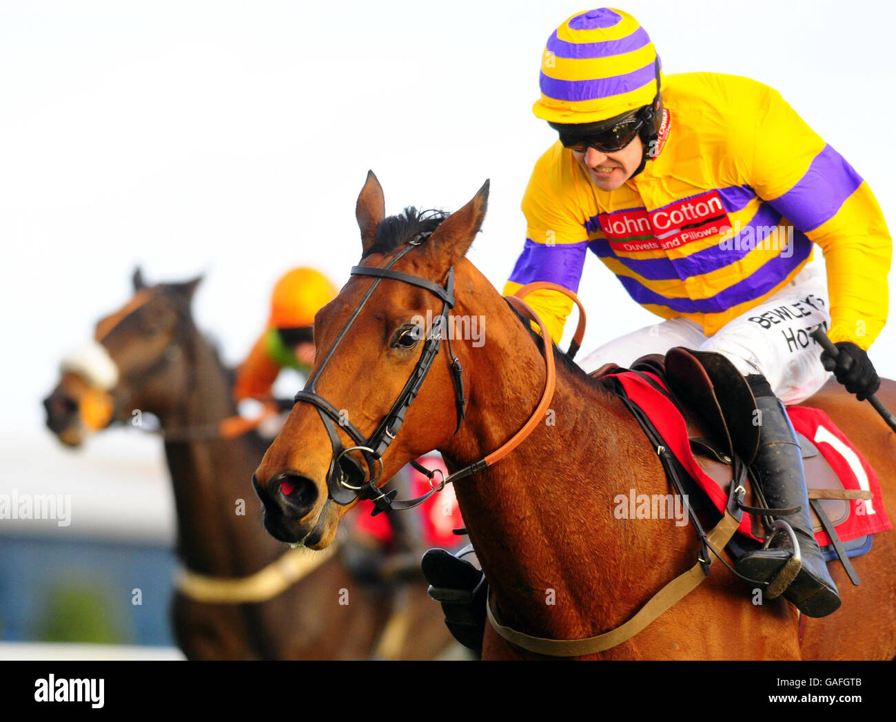 Dear Villez and Ruby Walsh (right) on their way to victory in The bravohair.com Novices' Chase at Newbury Racecourse. Stock Photo