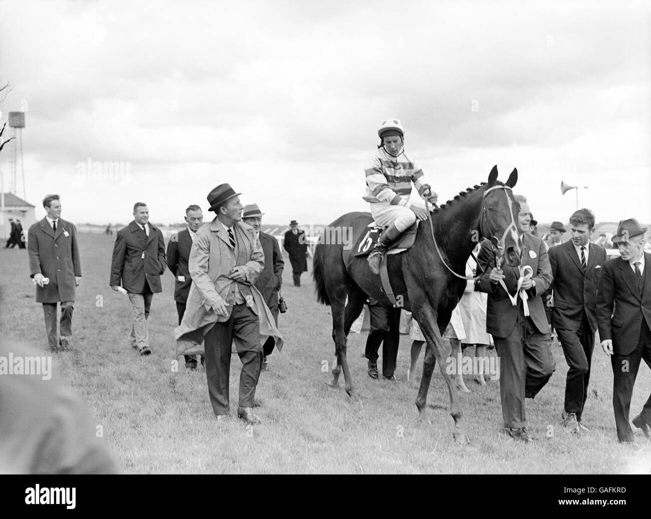 Horse Racing - The Irish Derby - The Curragh. Irish Derby winner Meadow Court, Lester Piggott up, with part owner Bing Crosby (l) walking alongside Stock Photo