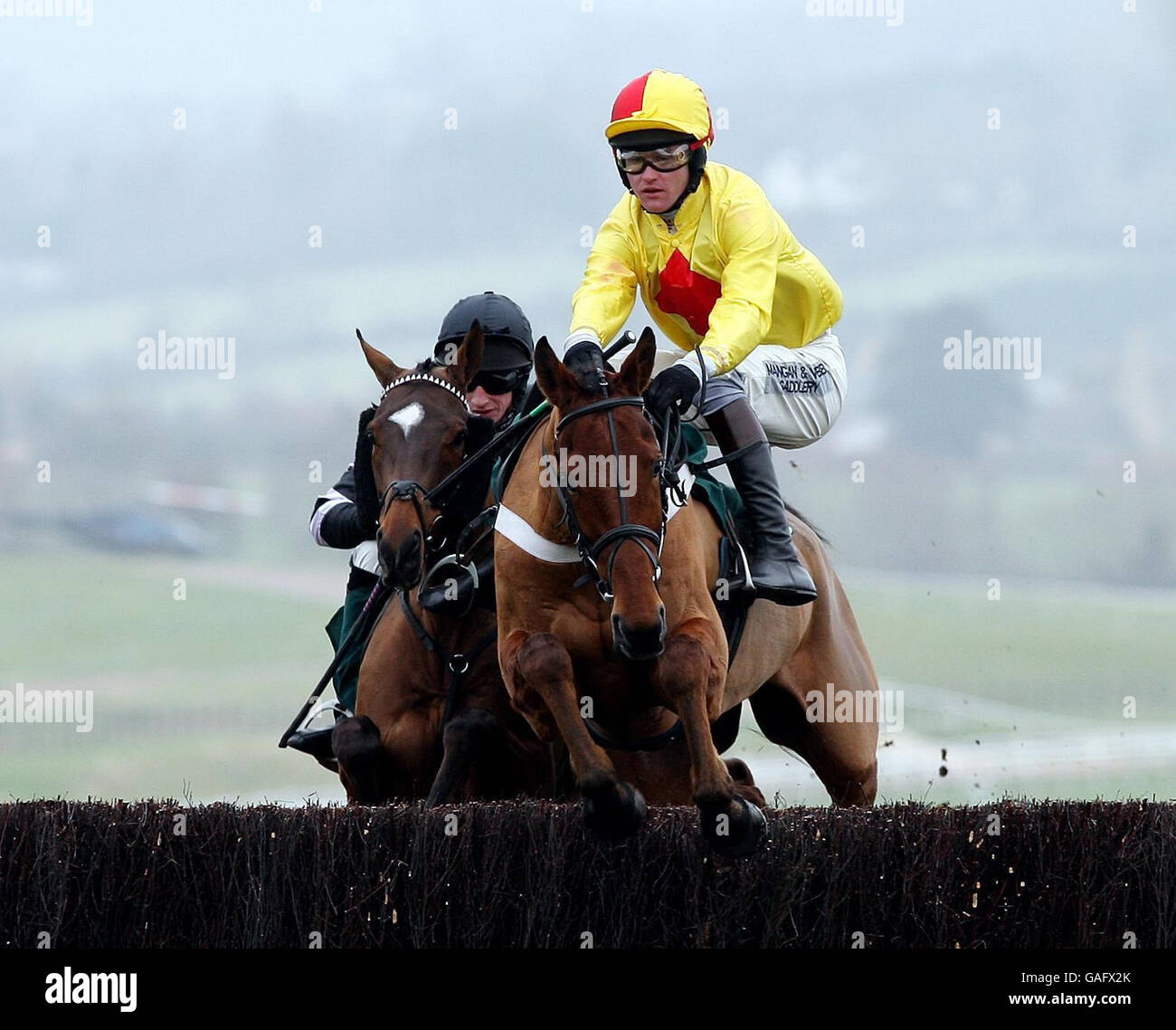 Joe Lively riden by Joe Tizzard takes a jump on his way to victory in the Cheltenham Business Club Novices' Steeple Chase at Cheltenham Racecourse. Stock Photo