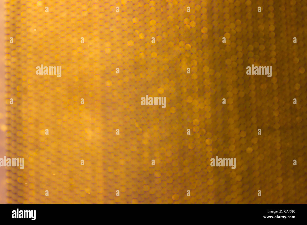 Metal grid board hi-res stock photography and images - Alamy
