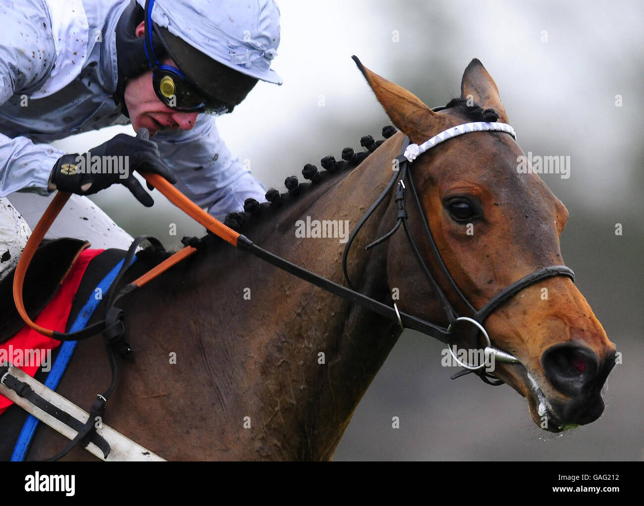 Chomba Womba and Mick Fitzgerald wins The partybets.com Anne Boleyn Mares only Hurdle Races at Sandown Park Racecourse, Surrey. Stock Photo