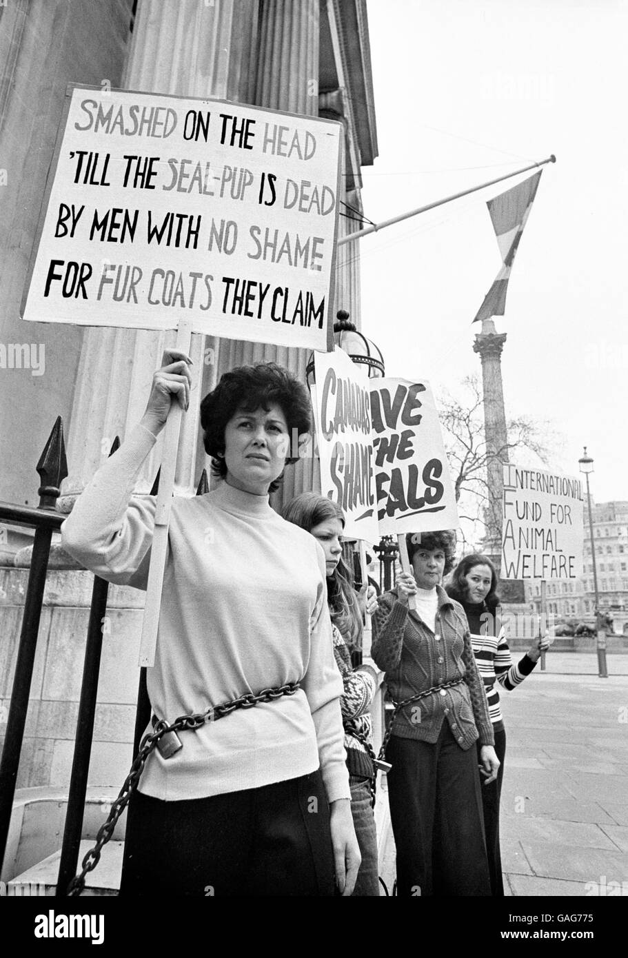 Mrs Janet Grant (l) along with other members of the International Fund for Animal Welfare, takes part in a suffragette style demonstration, where they chained themselves to the railings of the Canadian High commission as a protest at the Canadian seal hunt Stock Photo