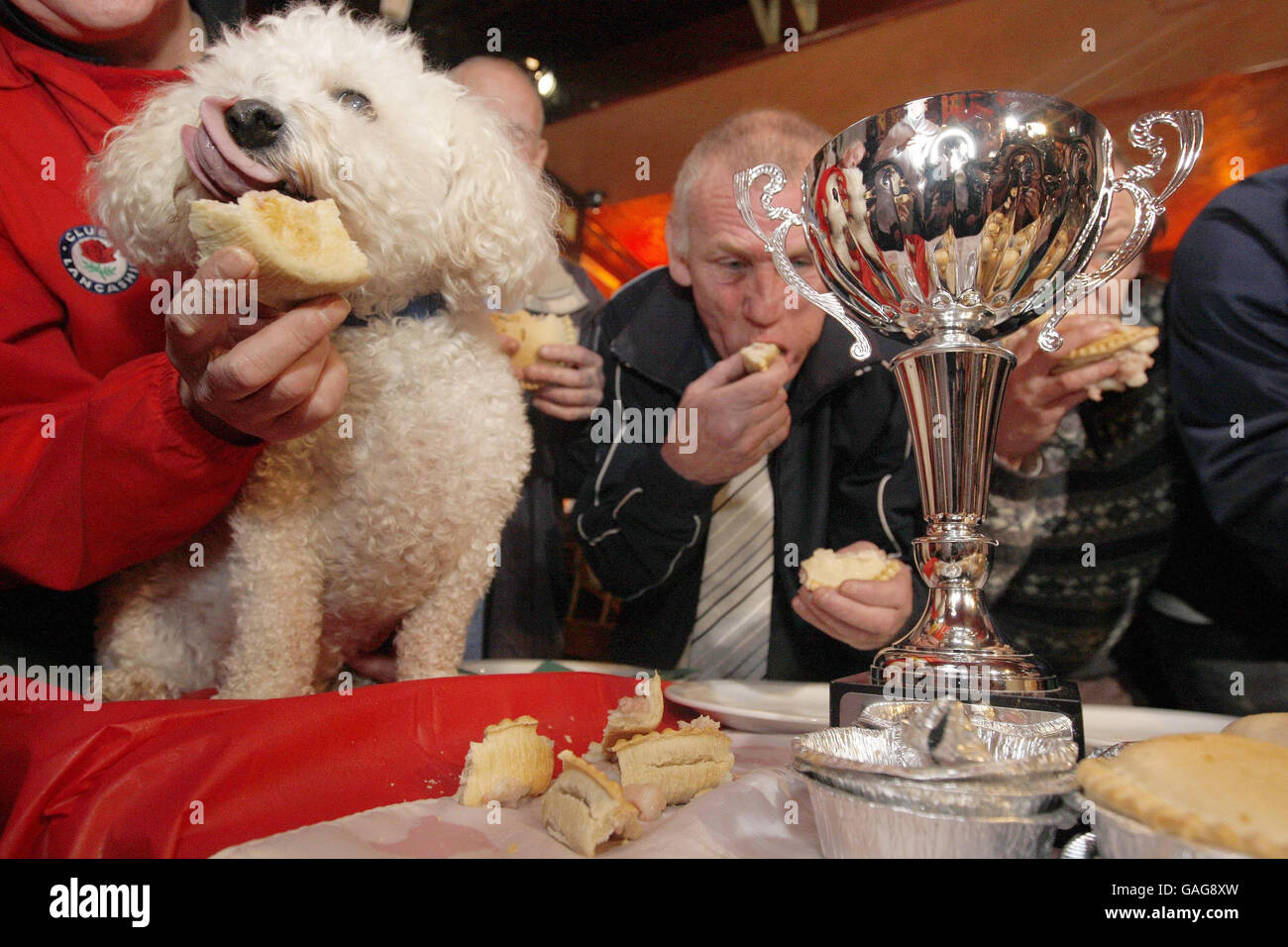 Charlie the dog takes part in the World Pie Eating Contest at Harry's Bar, Wigan Stock Photo Alamy
