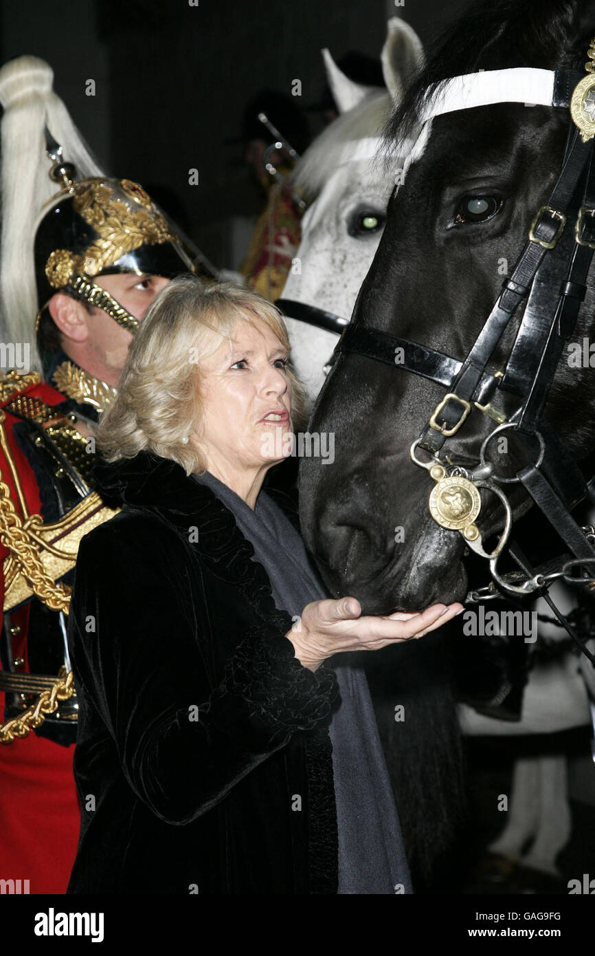 The London International Horse Show Stock Photo - Alamy