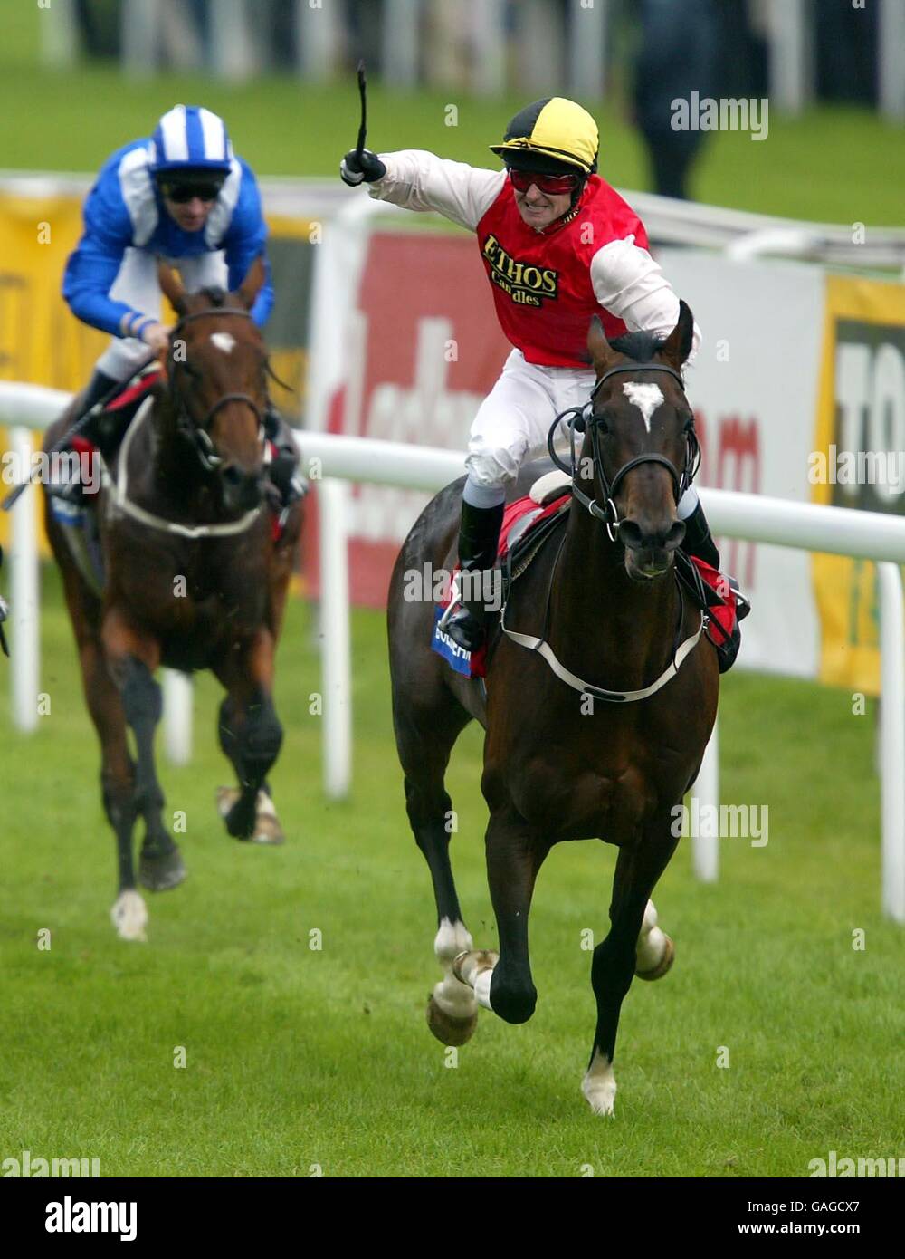 Horse racing st leger meeting doncaster hires stock photography and