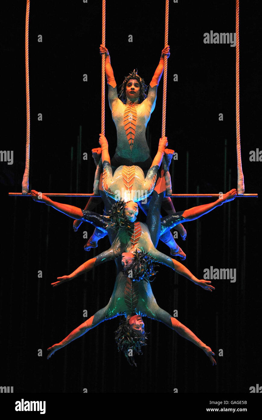 Trapeze artists perform during a full dress rehearsal of Varekai, the