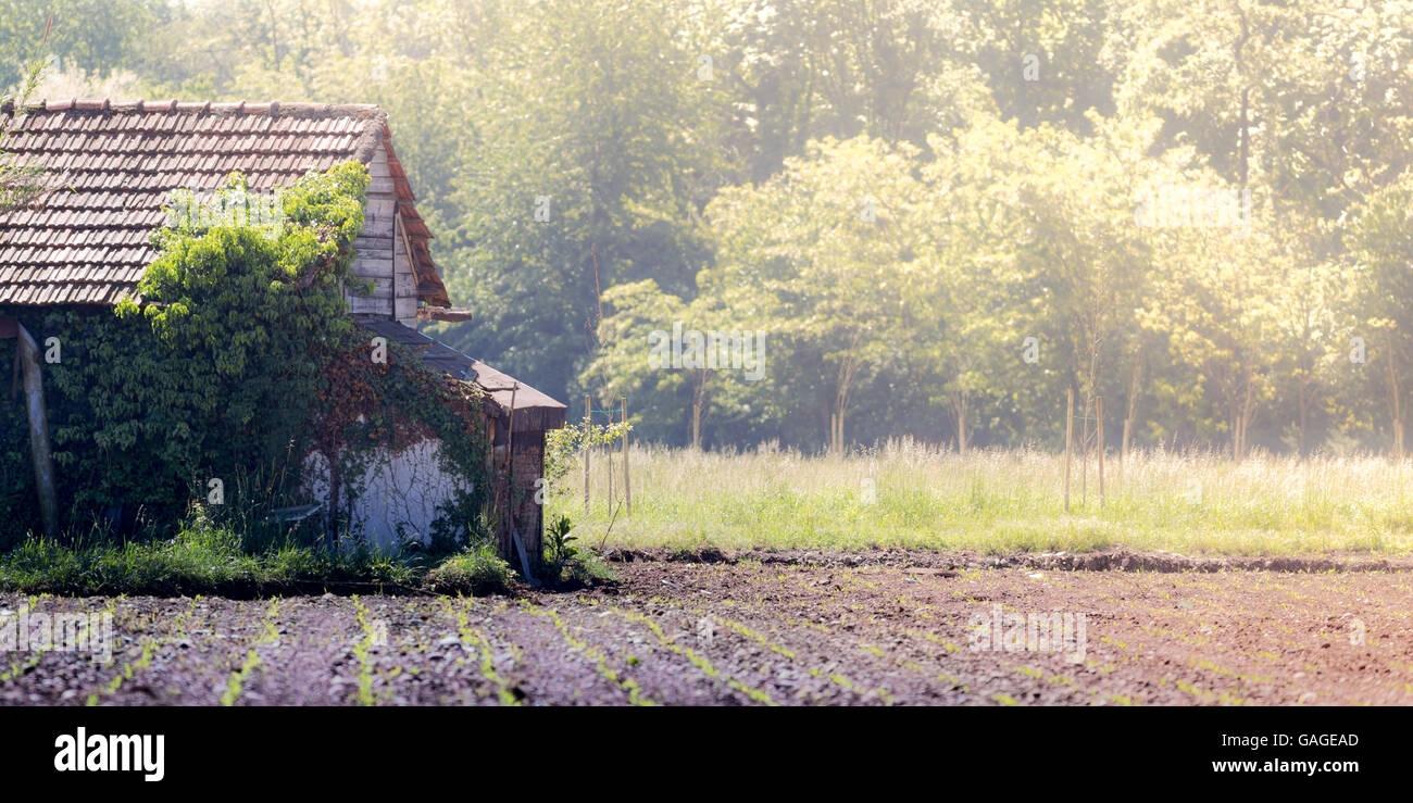 Horizontal size hires stock photography and images Alamy