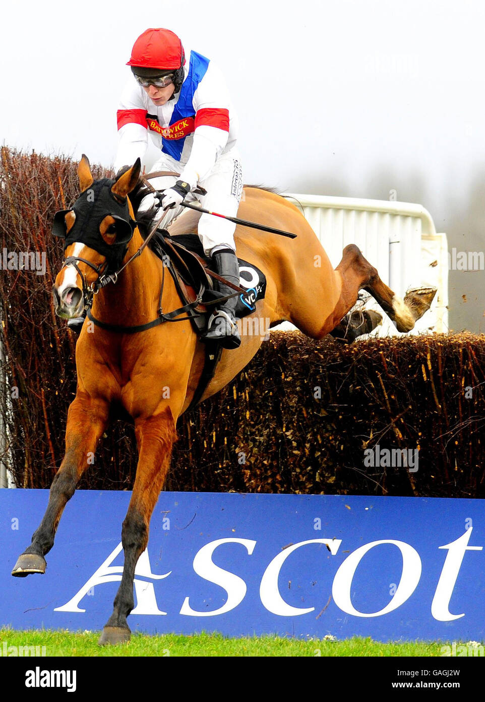 Tamarinbleu and Tom Scudamore jump the last to win The Victor Chandler Chase at Ascot Racecourse. Stock Photo