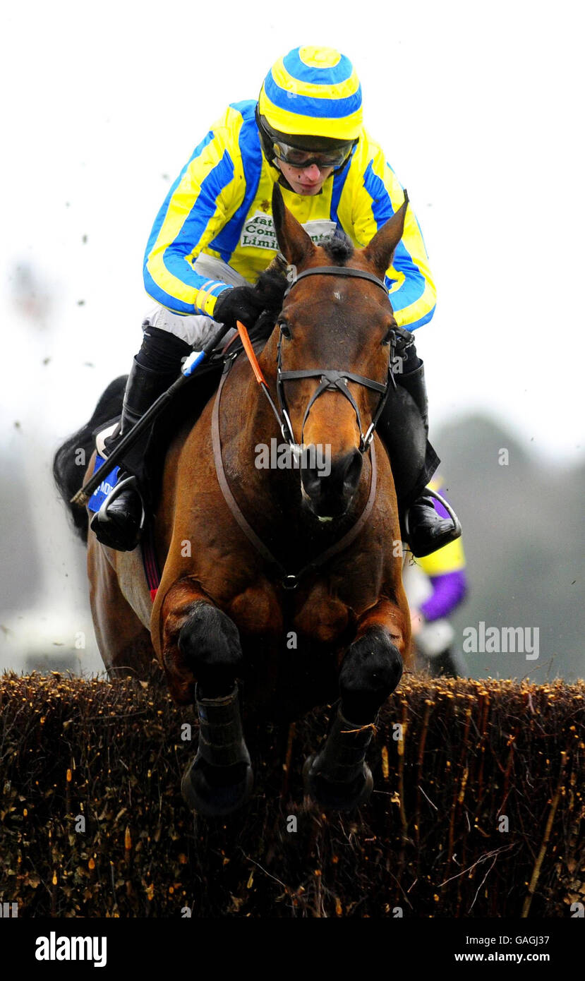 Wee Robbie and Noel Fehily on their way to victory in The Montpelier Group Lightning Novices Chase at Ascot Racecourse. Stock Photo