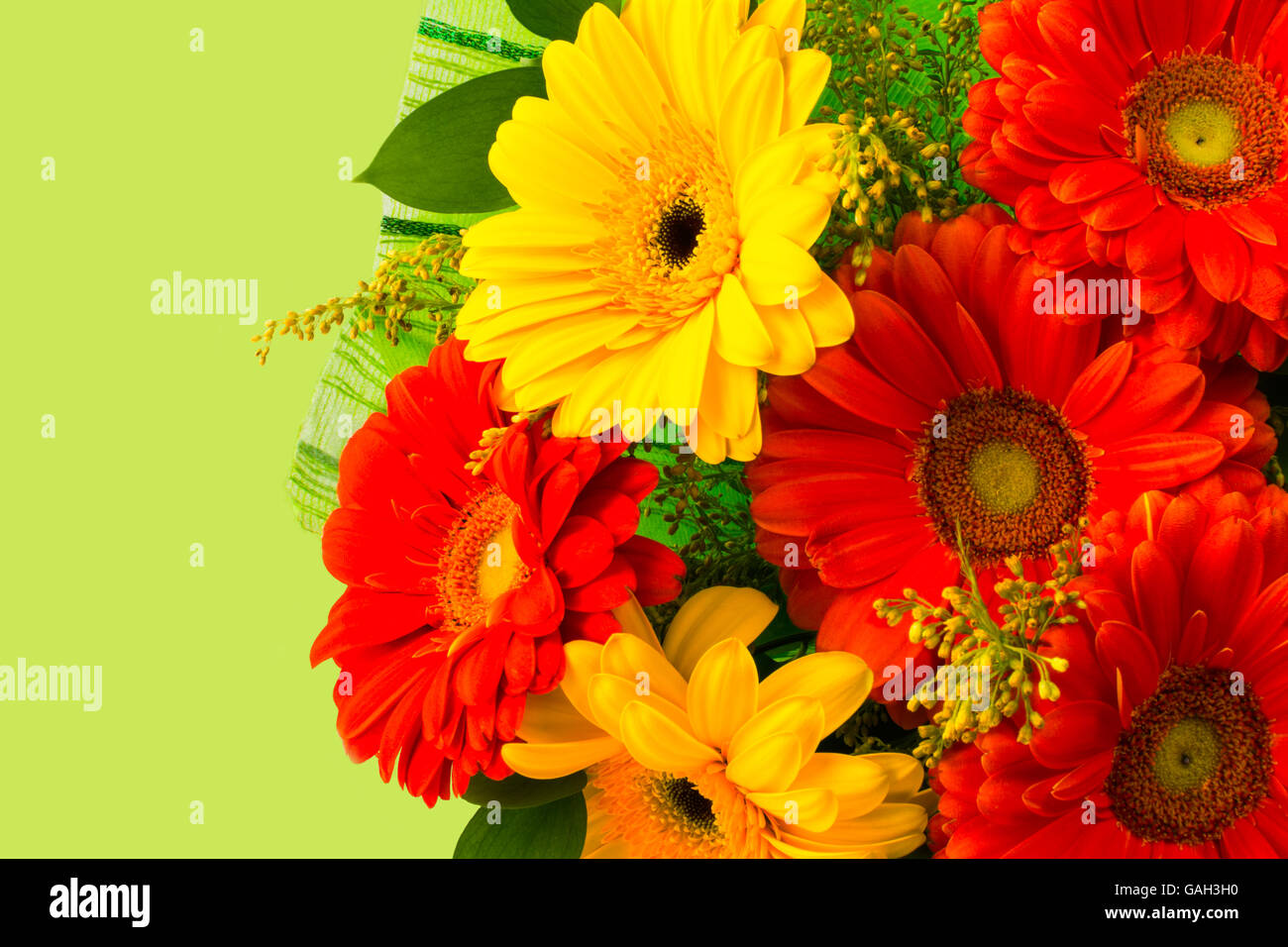 Red and yellow daisy bouquet on green background. Greeting background. Flowers greeting card. Greeting card. Happy Mother's Day. Stock Photo