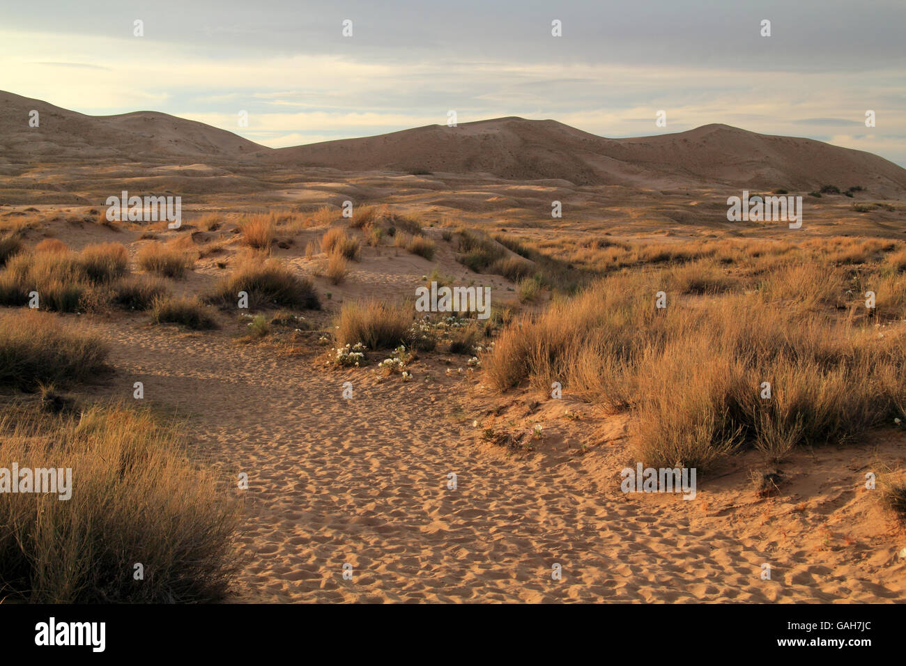 Kelso Dunes Trail in Mojave National Preserve in the state of California Stock Photo