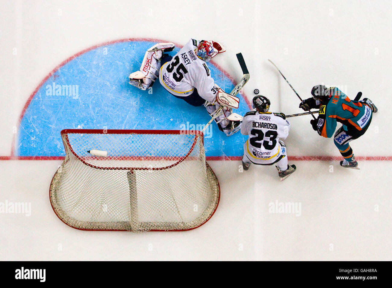 Pin by Ally Hall on Sheffield Steelers  Sheffield steelers, Ice hockey,  Hockey