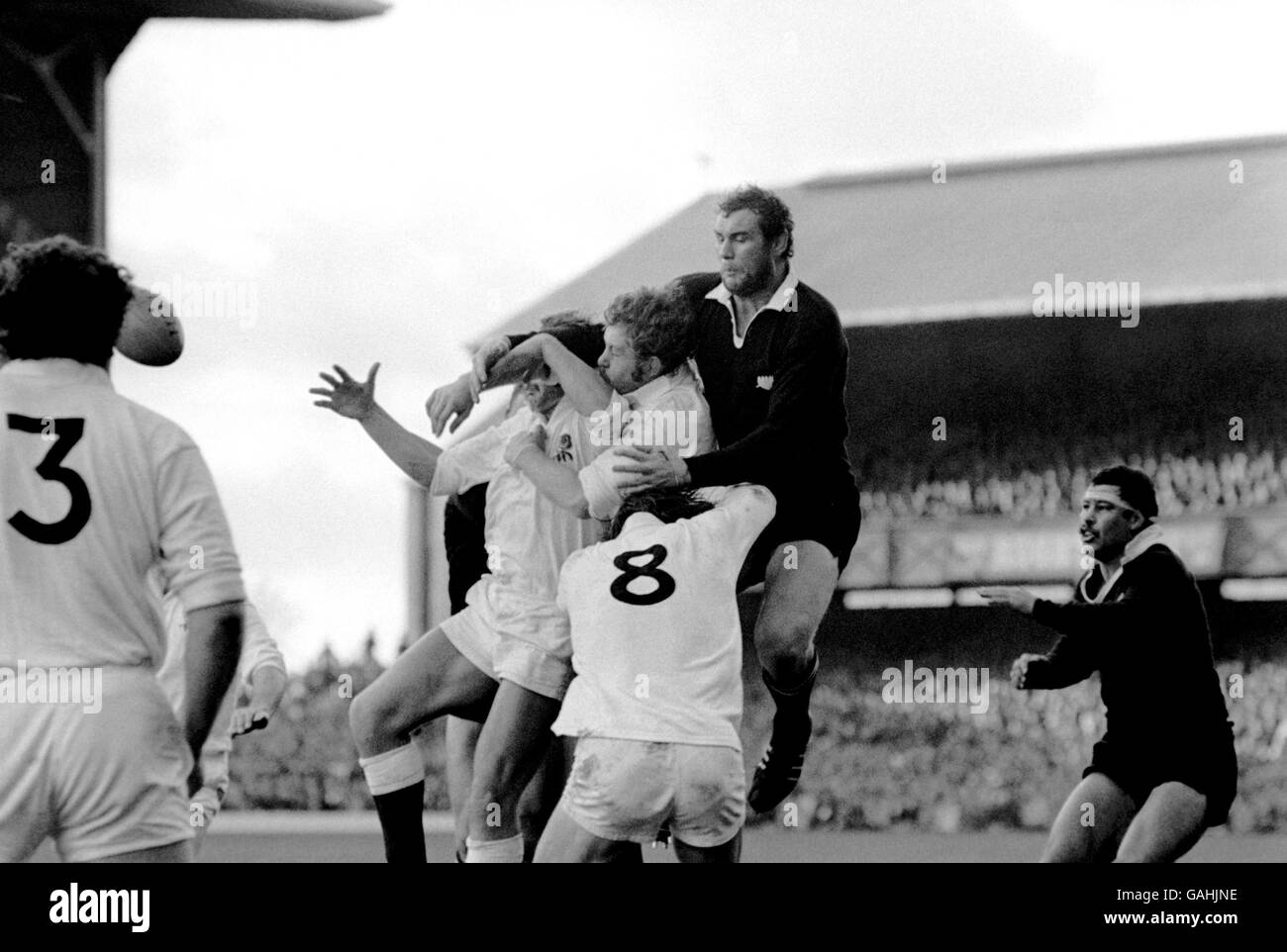 Rugby Union Test Match England v New Zealand Stock Photo Alamy