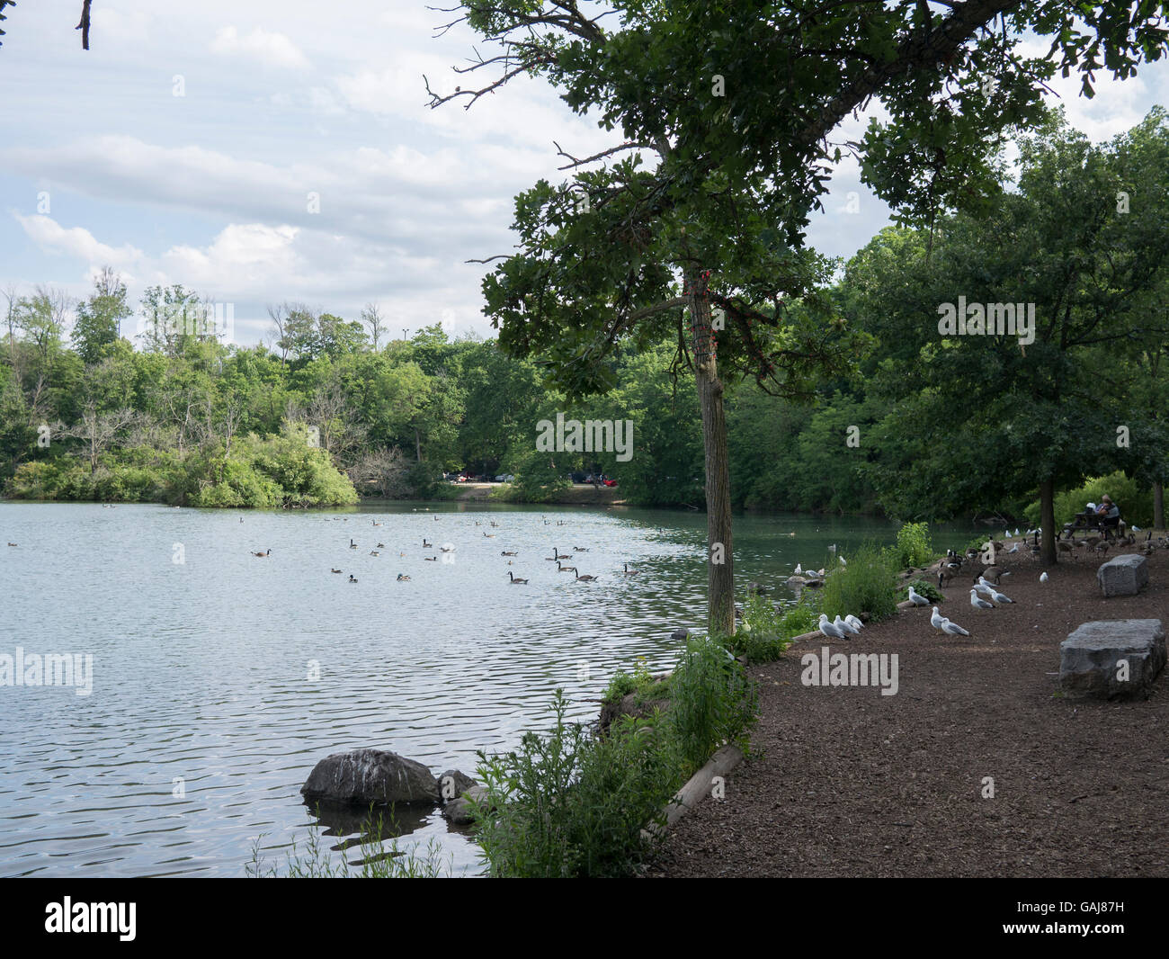 Dufferin Islands, Niagara Falls, Canada Stock Photo Alamy