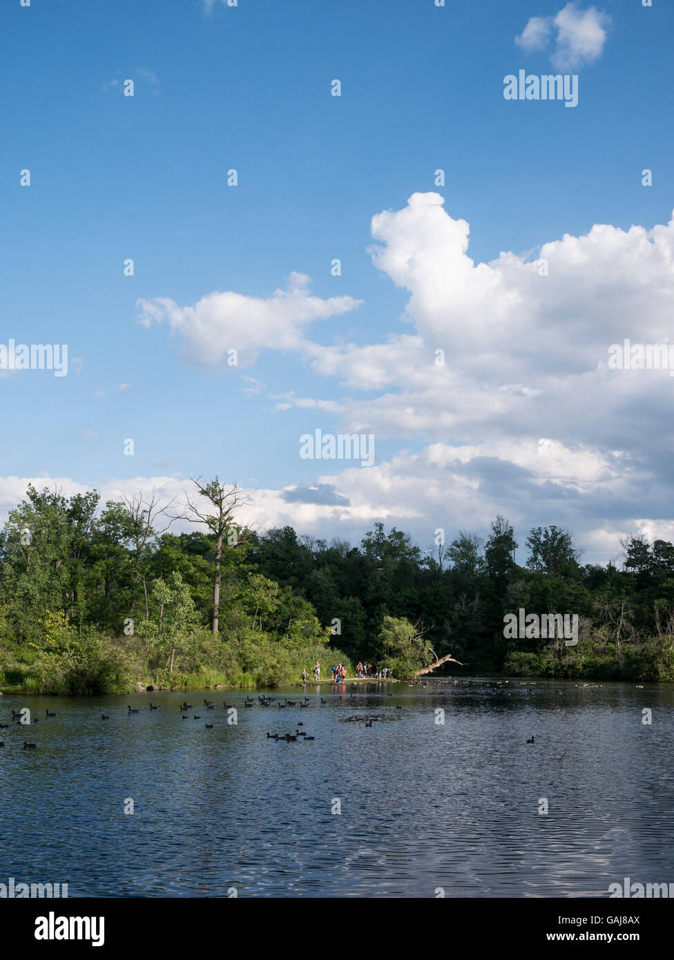 Dufferin Islands, Niagara Falls, Canada Stock Photo Alamy