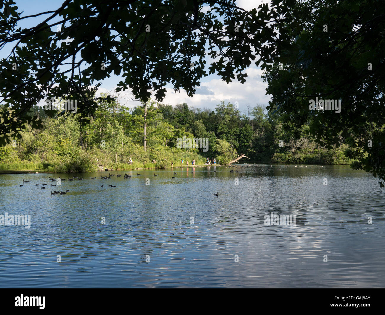 Dufferin Islands, Niagara Falls, Canada Stock Photo Alamy